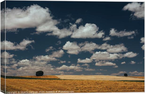 Cereal fields and cloudscape Canvas Print by Vicente Sargues