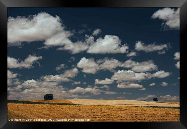 Cereal fields and cloudscape Framed Print by Vicente Sargues
