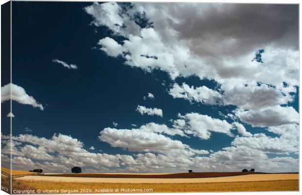 Cloudscape on fields Canvas Print by Vicente Sargues