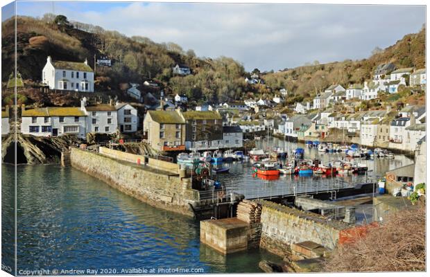 View from Coast Path (Polperro) Canvas Print by Andrew Ray