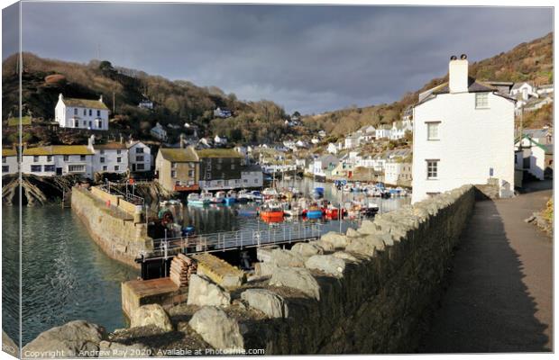 Coast Path View (Polperro) Canvas Print by Andrew Ray