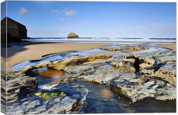 Trebarwith at low tide Canvas Print by Andrew Ray