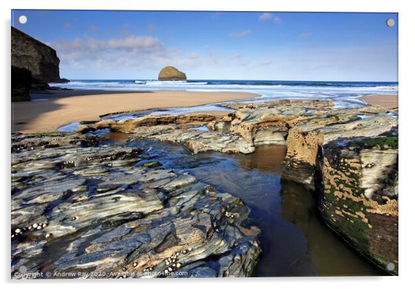 Low tide at Trebarwith Strand Acrylic by Andrew Ray