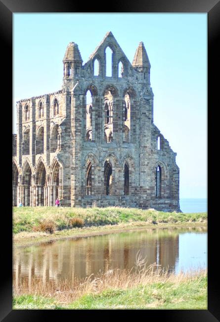 Whitby Abbey Ruins and reflection Framed Print by Fiona Williams