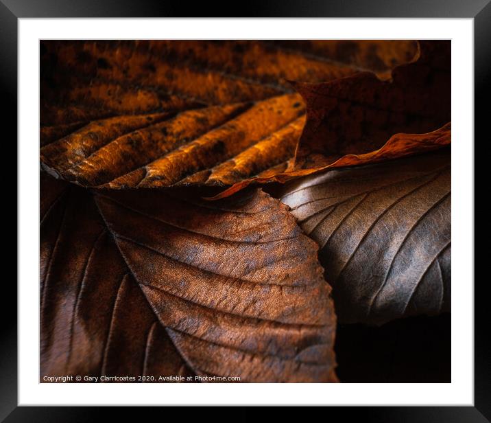 Fallen Leaves Framed Mounted Print by Gary Clarricoates