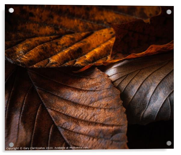 Fallen Leaves Acrylic by Gary Clarricoates