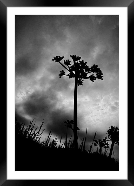 Silhouette Framed Mounted Print by Doug McRae