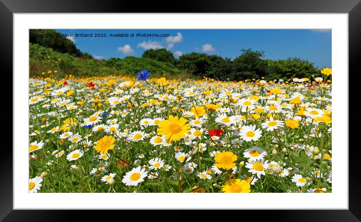 wild flower meadow Framed Mounted Print by Kevin Britland