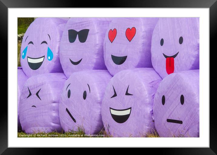 The humorous faces of haybales at Boddam Shetland Framed Mounted Print by Richard Ashbee