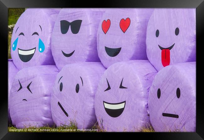 The humorous faces of haybales at Boddam Shetland Framed Print by Richard Ashbee
