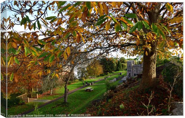 Autumn at The Botanical Gardens at Shaldon Canvas Print by Rosie Spooner