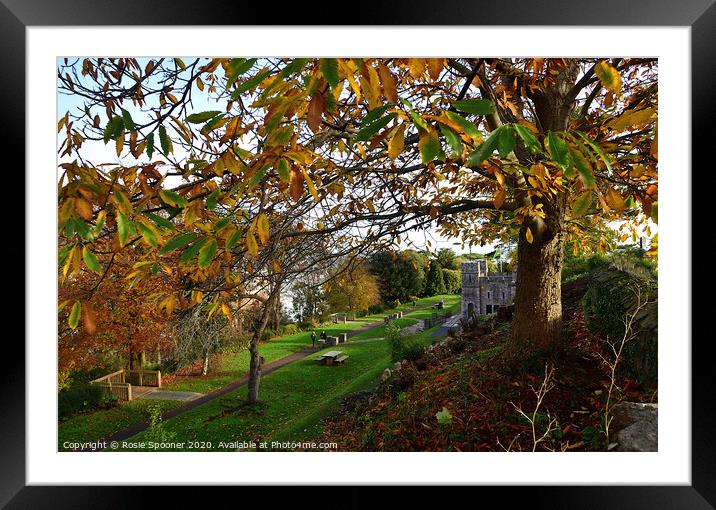 Autumn at The Botanical Gardens at Shaldon Framed Mounted Print by Rosie Spooner