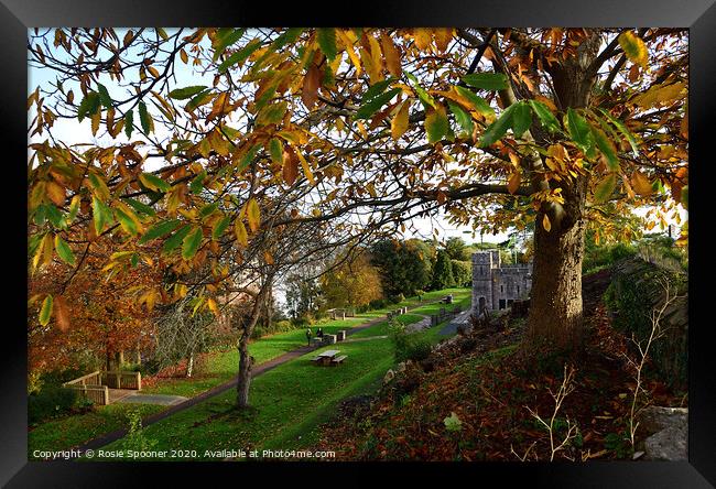 Autumn at The Botanical Gardens at Shaldon Framed Print by Rosie Spooner