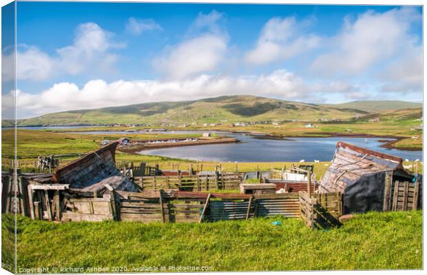 Traditional Shetland boat sheds at Cunningsburgh Canvas Print by Richard Ashbee