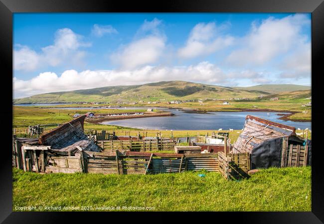 Traditional Shetland boat sheds at Cunningsburgh Framed Print by Richard Ashbee