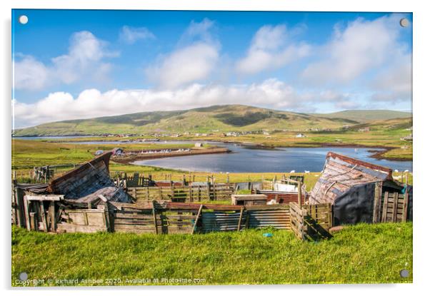 Traditional Shetland boat sheds at Cunningsburgh Acrylic by Richard Ashbee
