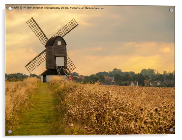 Pitstone Windmill Acrylic by Elizabeth Debenham