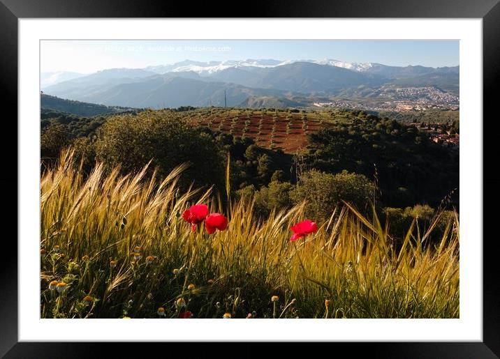 Granada Landscape Framed Mounted Print by Navin Mistry