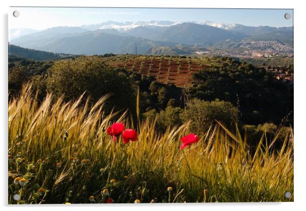 Granada Landscape Acrylic by Navin Mistry