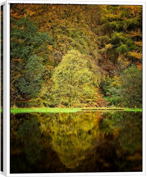 Colourful Autumn Canvas Print by tom downing