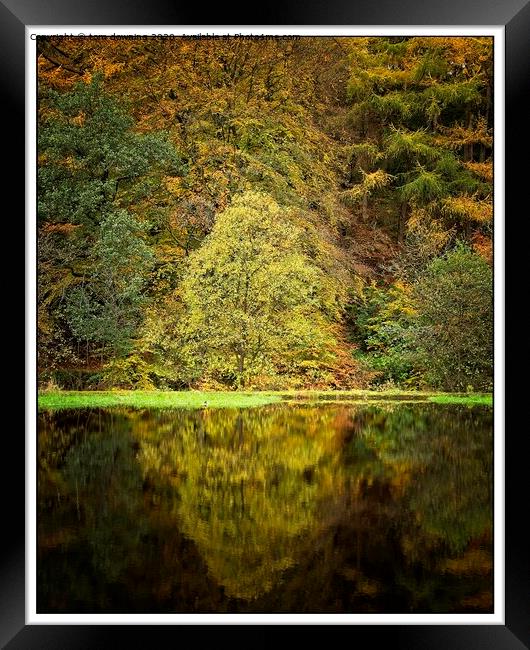 Colourful Autumn Framed Print by tom downing