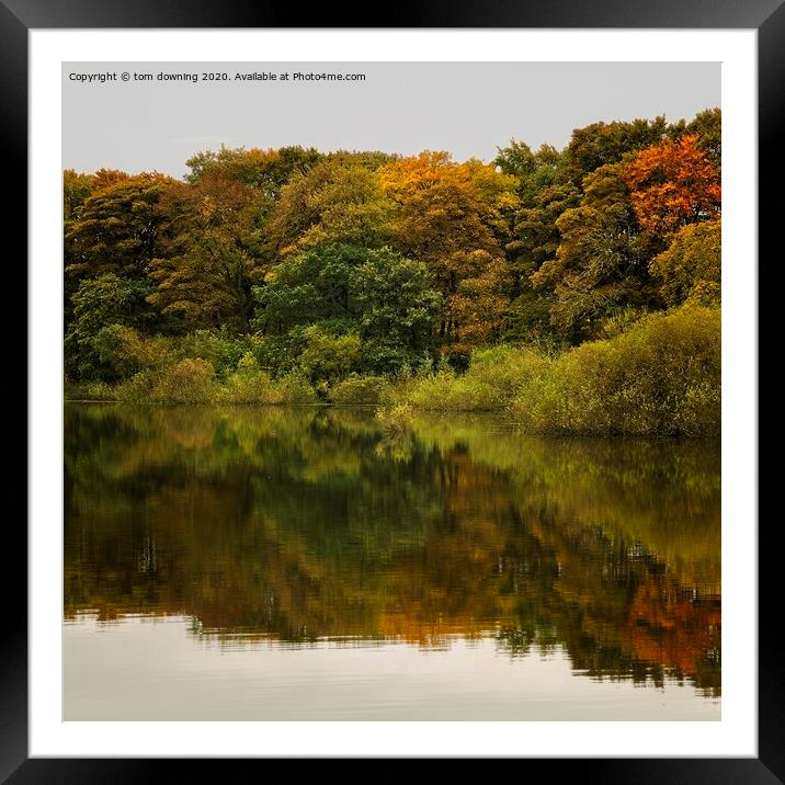 Autumn reflection  Framed Mounted Print by tom downing