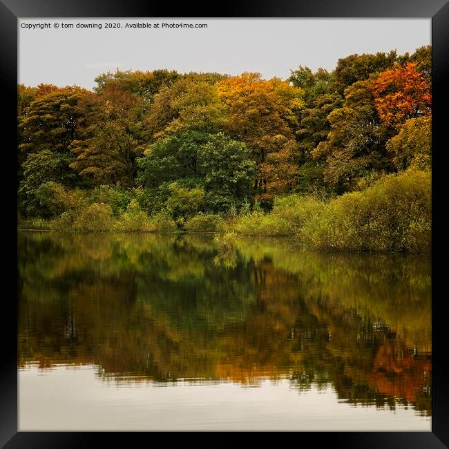 Autumn reflection  Framed Print by tom downing