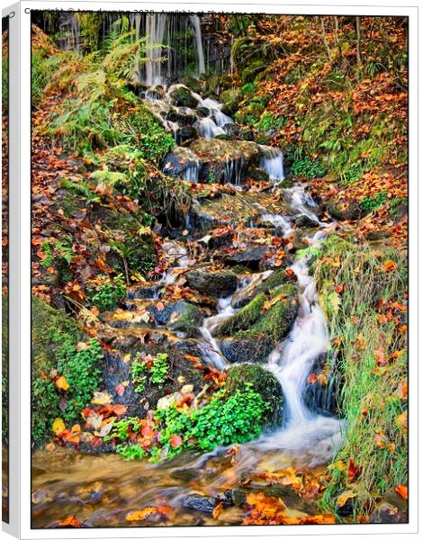 Autumn waterfall Canvas Print by tom downing