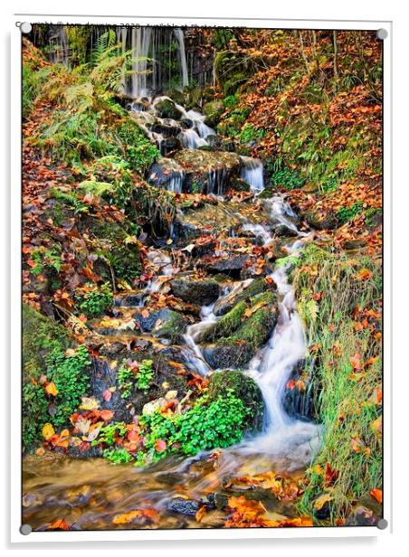 Autumn waterfall Acrylic by tom downing