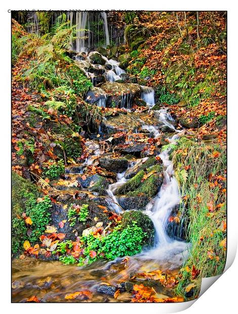 Autumn waterfall Print by tom downing
