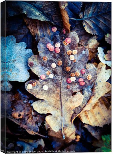 Autumn leaf texture Canvas Print by claire chown