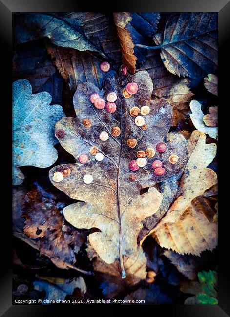 Autumn leaf texture Framed Print by claire chown