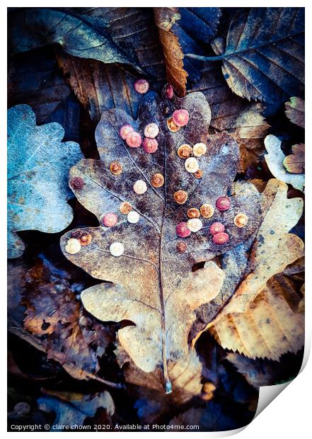 Autumn leaf texture Print by claire chown