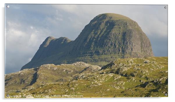 Suilven Acrylic by Stephen Taylor