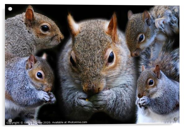 Composition of Grey Squirrels Acrylic by Simon Marlow