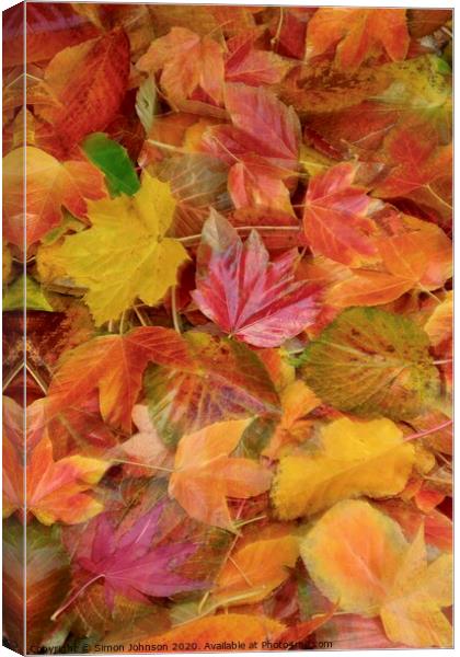 Autumn collage with creative blur Canvas Print by Simon Johnson