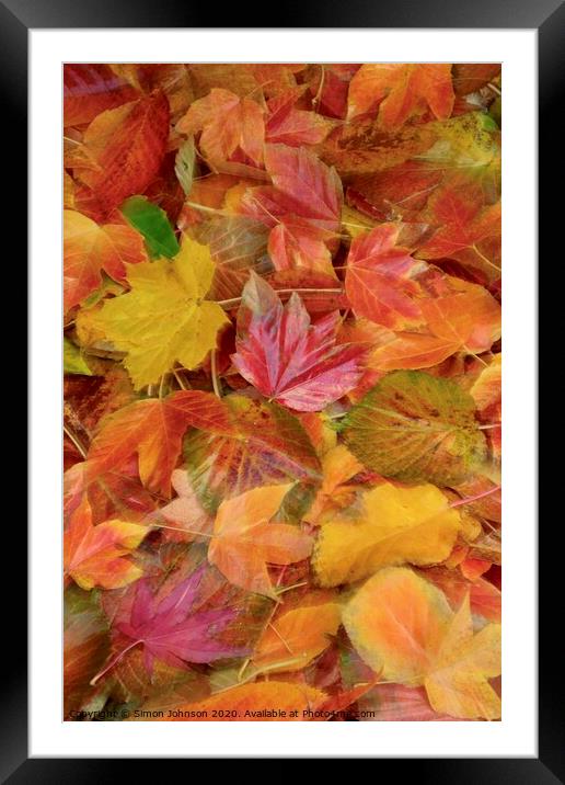 Autumn collage with creative blur Framed Mounted Print by Simon Johnson