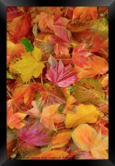 Autumn collage with creative blur Framed Print by Simon Johnson