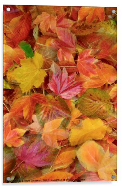 Autumn collage with creative blur Acrylic by Simon Johnson