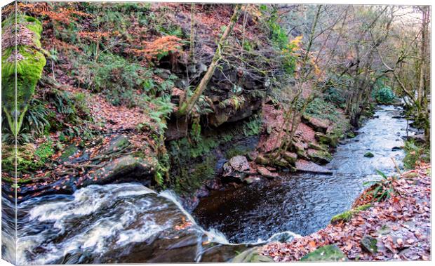 Hallas Beck - 01 Canvas Print by Trevor Camp