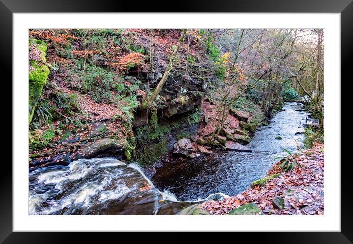 Hallas Beck - 01 Framed Mounted Print by Trevor Camp