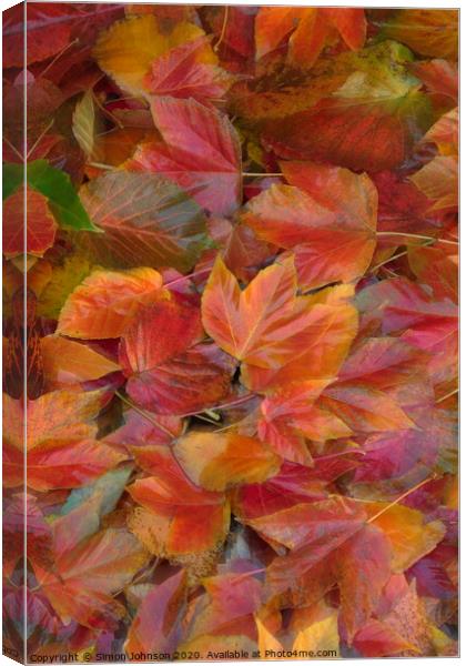 Autumn leaf Collage with artistic blur Canvas Print by Simon Johnson