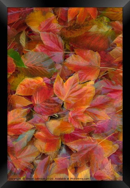 Autumn leaf Collage with artistic blur Framed Print by Simon Johnson