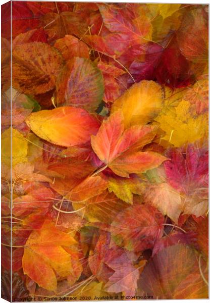 Autumn leaves Canvas Print by Simon Johnson