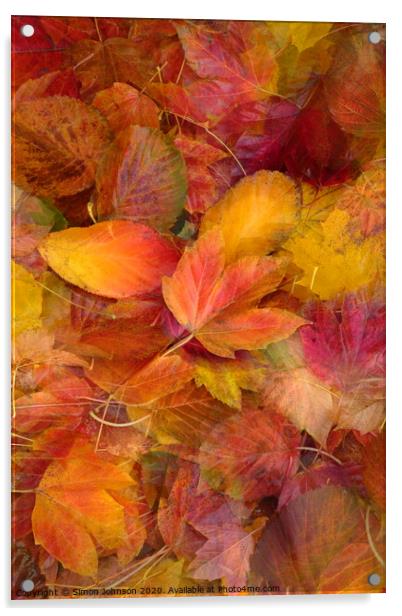 Autumn leaves Acrylic by Simon Johnson