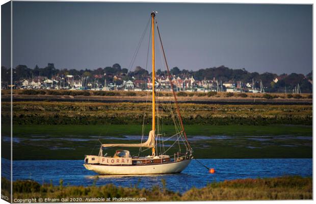 Floray and West Mersea Canvas Print by Efraim Gal