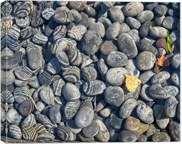 Rocks in Pool, Madison, Wisconsin Canvas Print by Steven Ralser