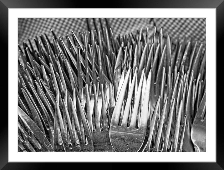 Forks  Framed Mounted Print by Steven Ralser