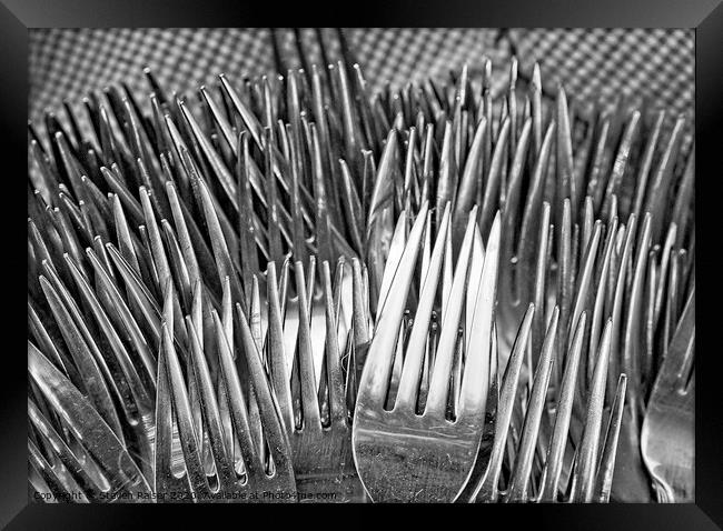 Forks  Framed Print by Steven Ralser