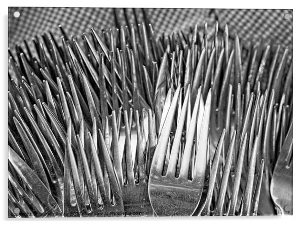 Forks  Acrylic by Steven Ralser